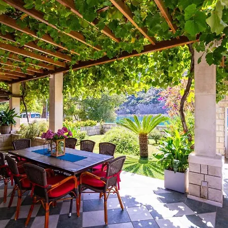 Dadic By Guide Willa